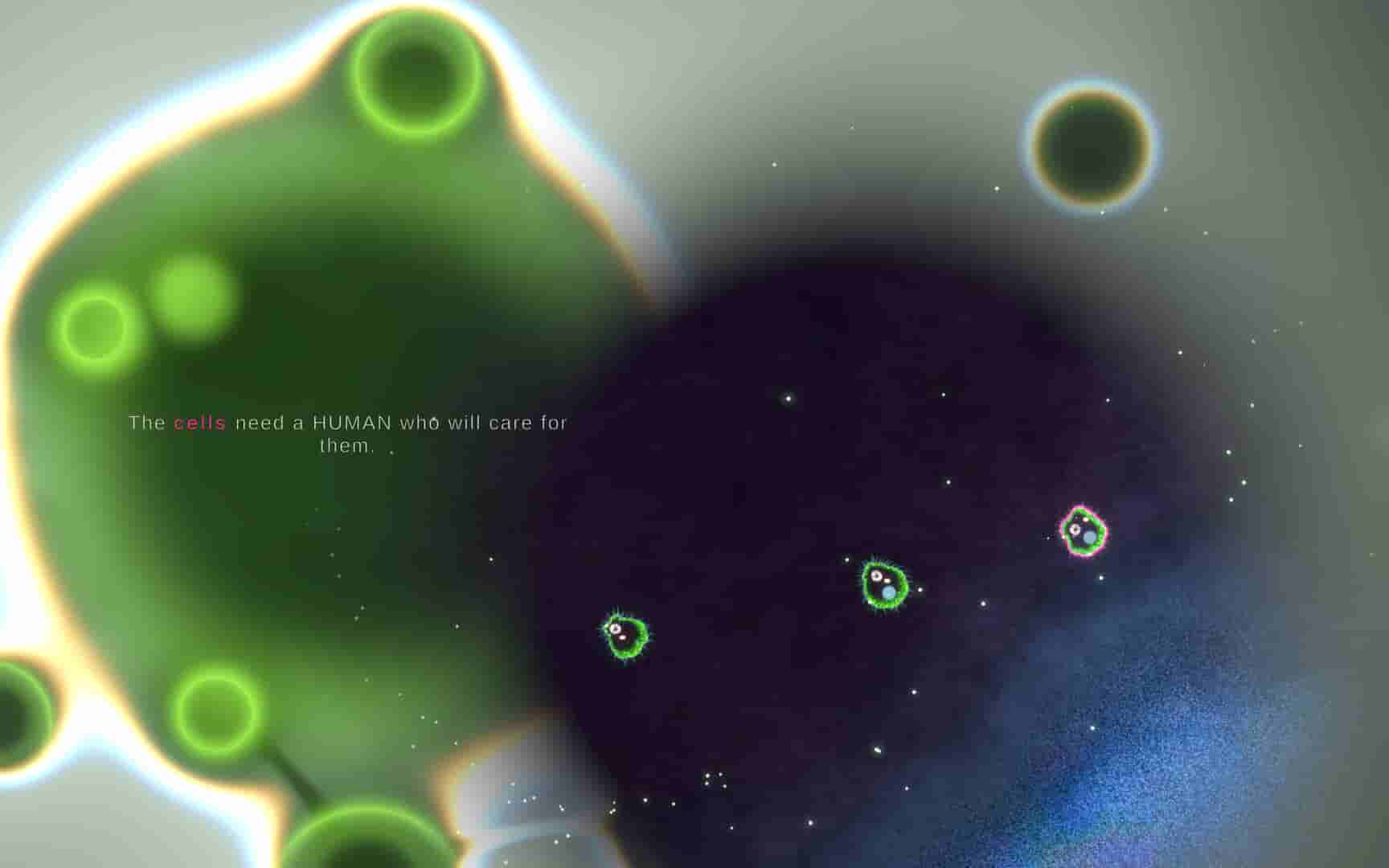 ss_2417e01658924a010995f1004f97e32e2e30007b.1920x1080_compressed.jpg