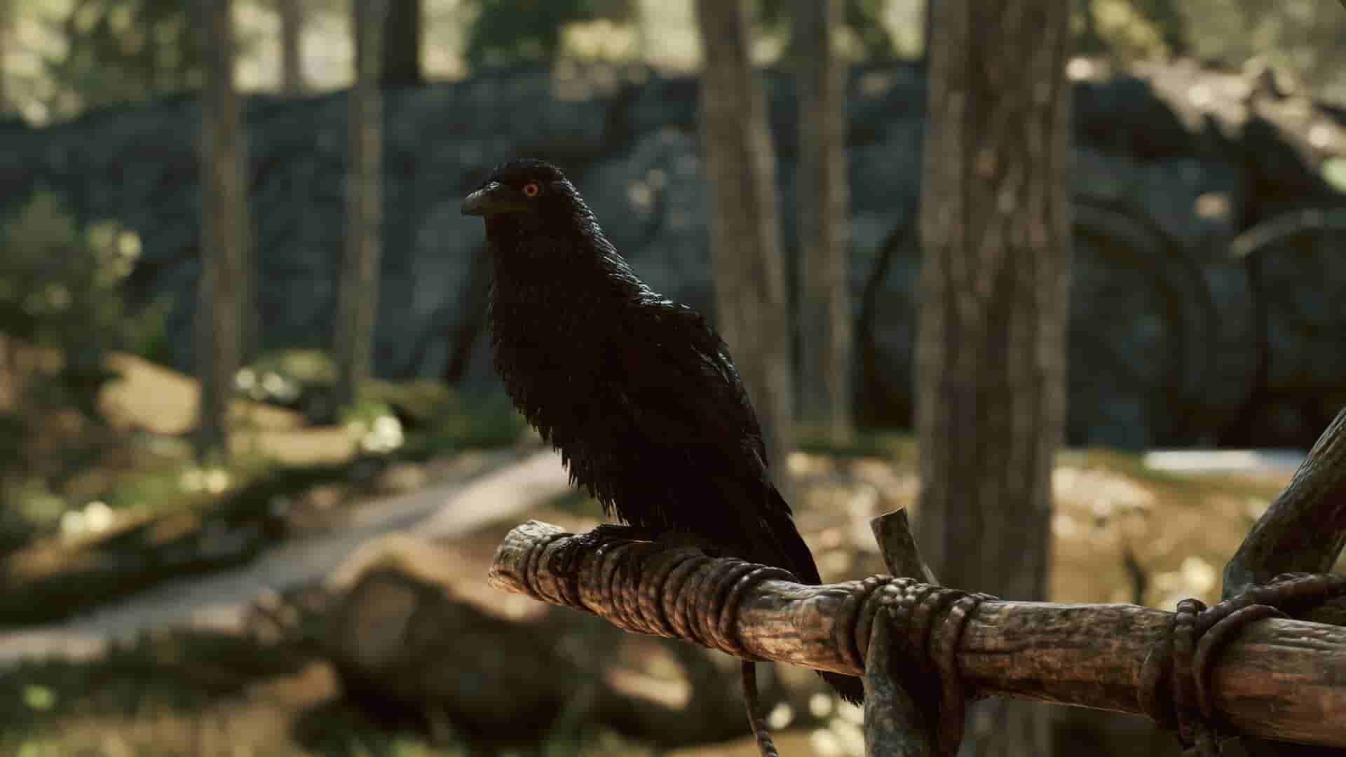 ss_b57f2f00f9d8414f795f7091f1af6c2c75643ccb.1920x1080_compressed.jpg